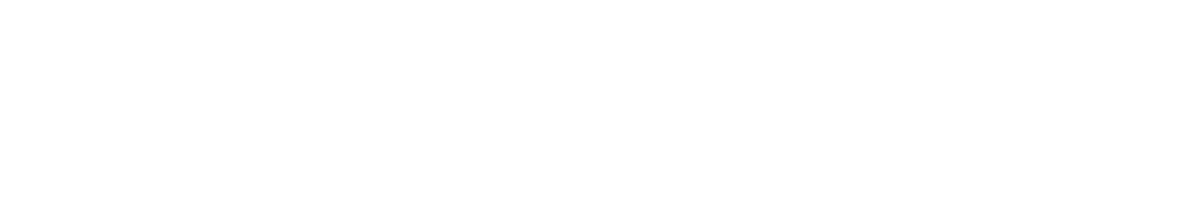 Acuho Dev 2 logo